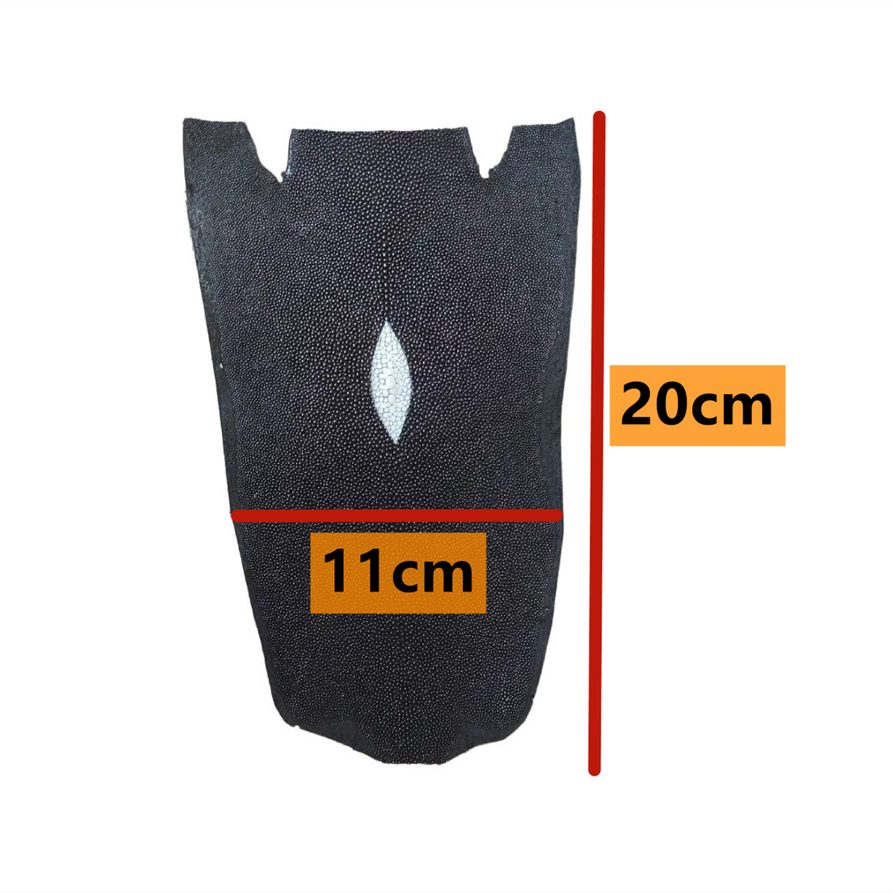 Black Non- Polished Stingray f - Luxury Bags And Shoes review and price