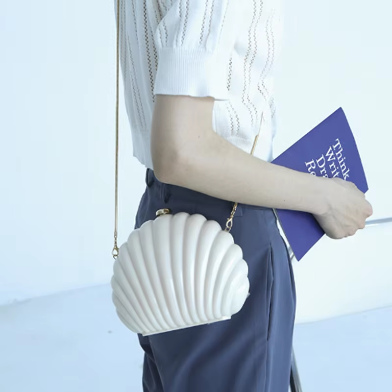 Lady Mini Shell Bag Acrylic Hi - Luxury Bags Cute review and price
